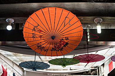 病娇AVG《精神病大王花 Flowering Abyss》中文版将于2月14日在Steam平台发售